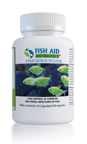 Fish Dox 100mg 60-Tablets - Fish Vet Supply