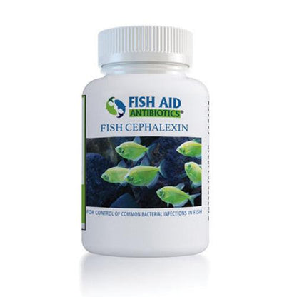 A bottle of Fish Cephalexin 500mg capsules for fish, with the brand Fish Aid Antibiotics visible on the label.