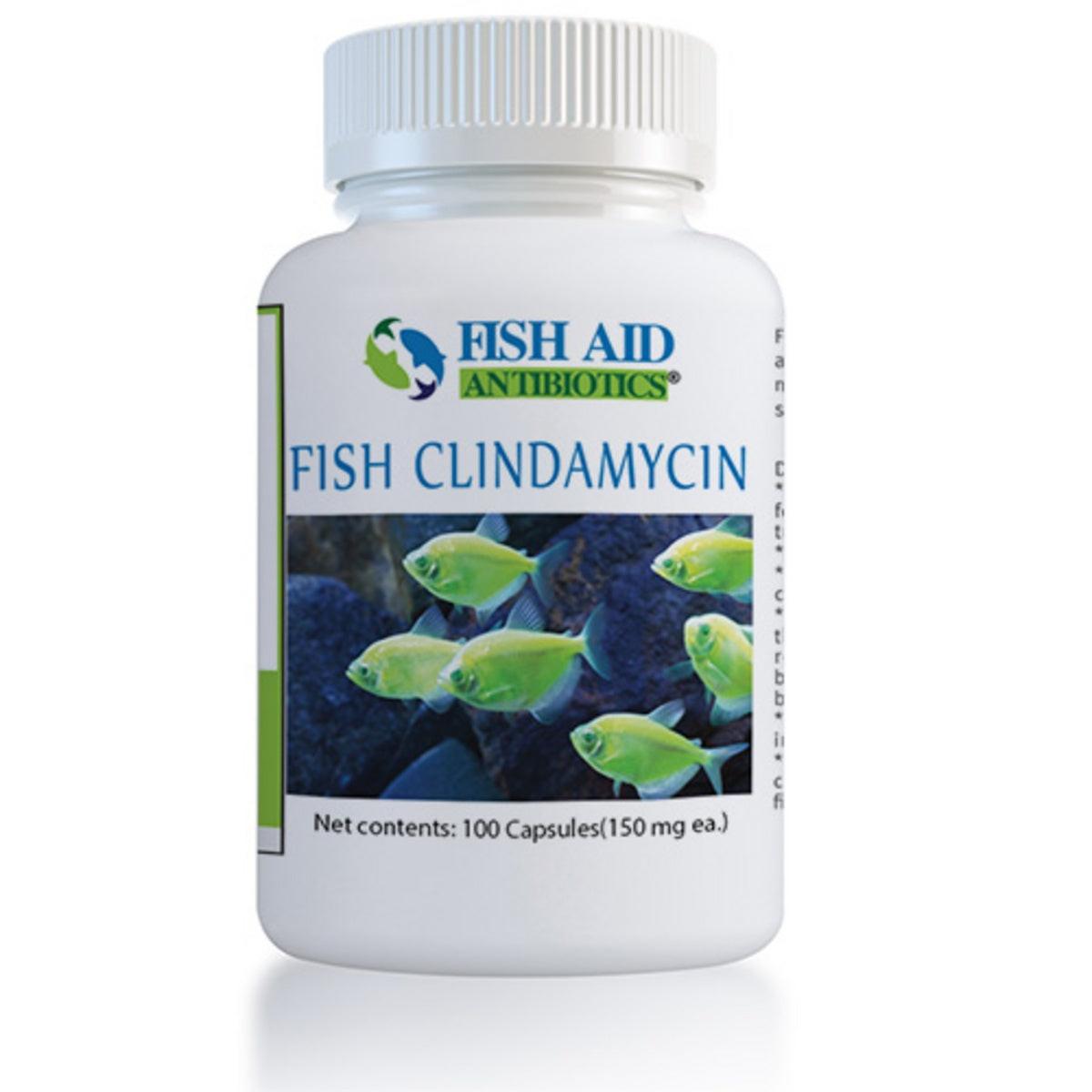 Fish Cin (Clindamycin) Capsules
Powerful Fish Antibiotic for Bacterial Infections