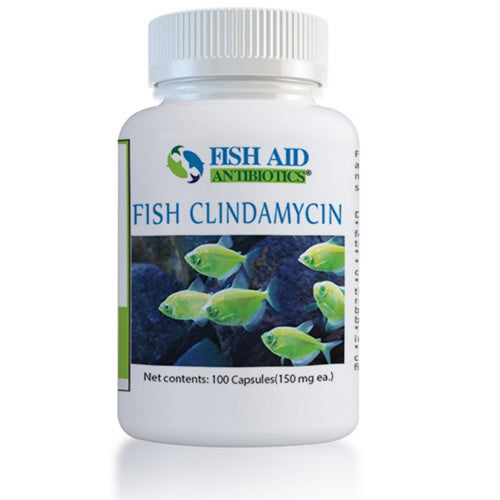 Fish Cin (Clindamycin) Capsules
Powerful Fish Antibiotic for Bacterial Infections