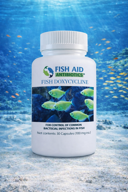 Fish Dox 100mg 30-Tablets - Fish Vet Supply