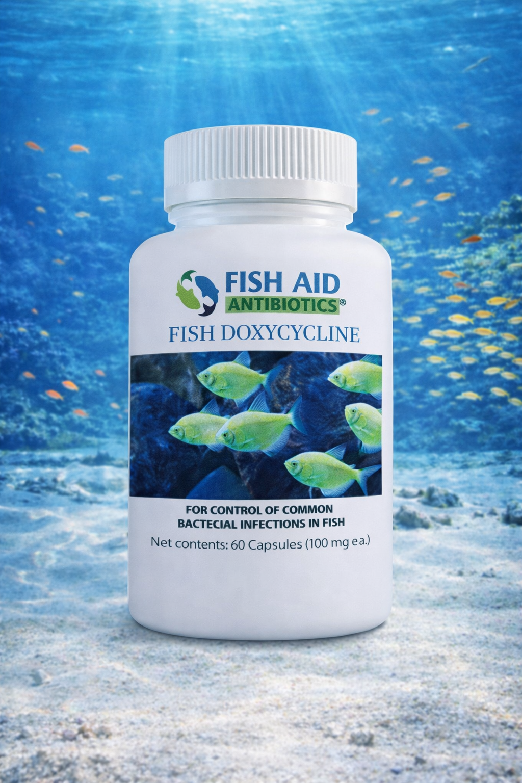 Fish Dox 100mg 60-Tablets - Fish Vet Supply