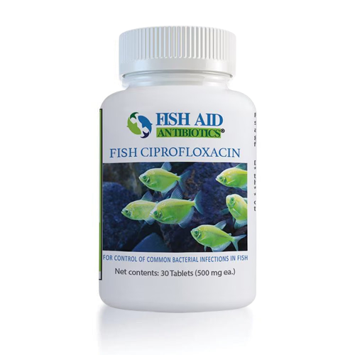 Fish Flox 500 - 60 Capsules - Fish Vet Supply
